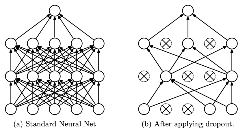 Dropout before/after